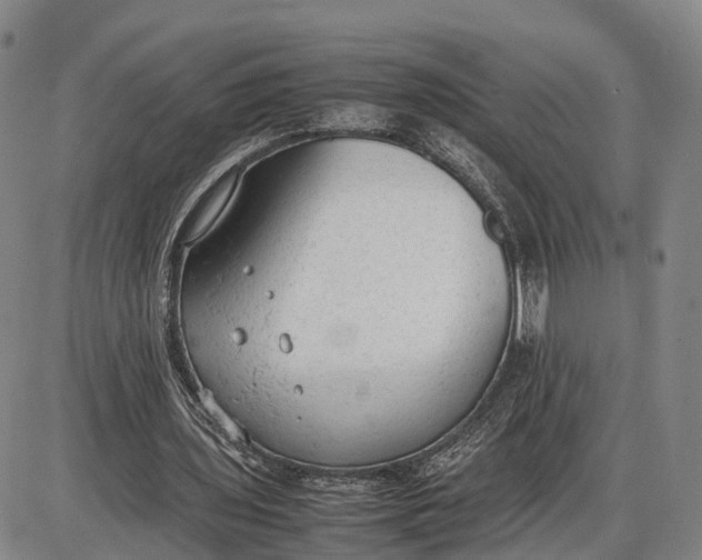 X0000085010435200703261159