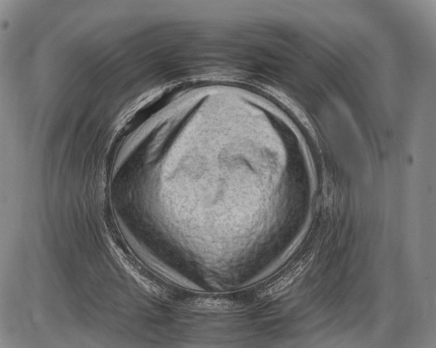 X0000085010437200703261159