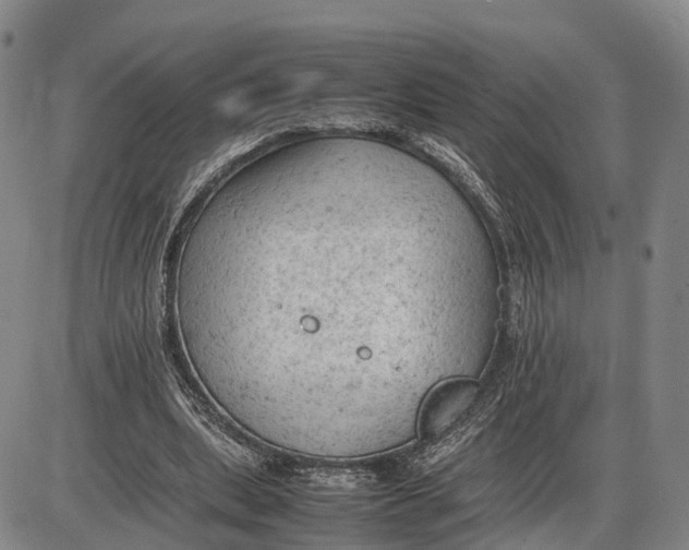 X0000085010439200703261159