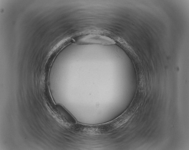 X0000085010440200703261159