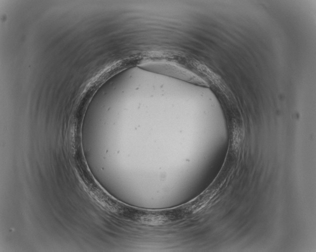 X0000085010444200703261159