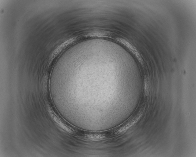 X0000085010445200703261159