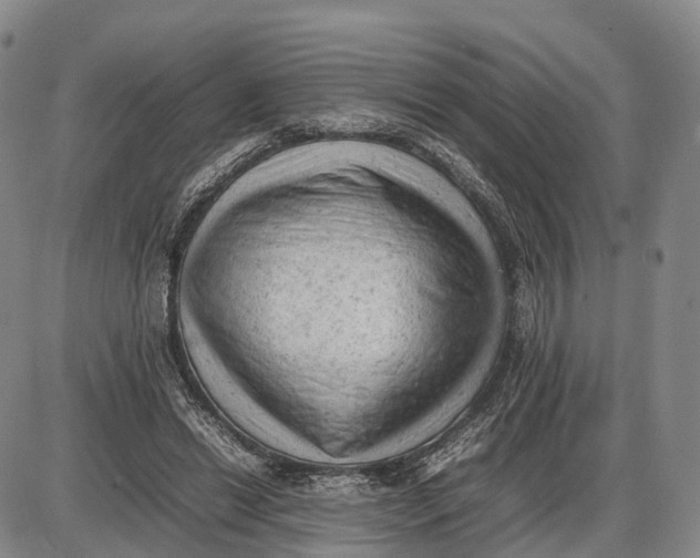 X0000085010446200703261159