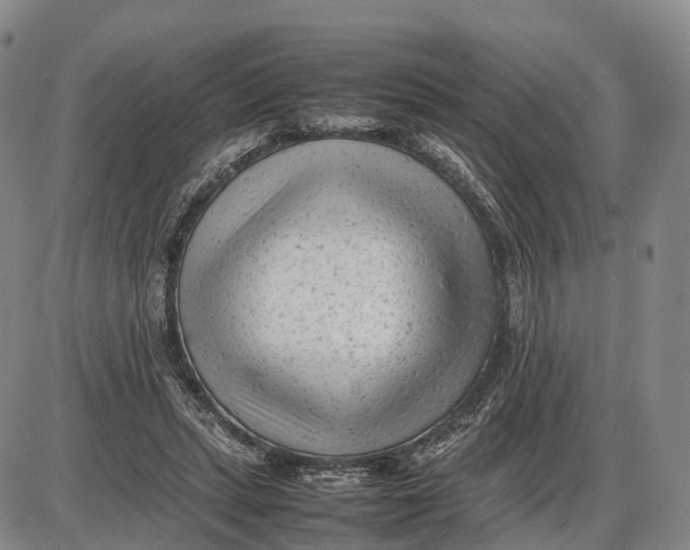 X0000085010447200703261159