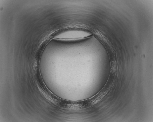 X0000085010448200703261159