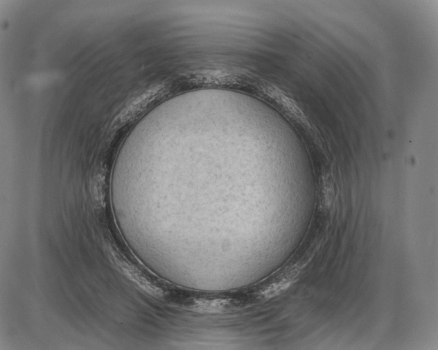 X0000085010450200703261159