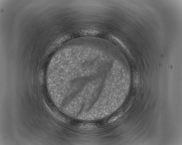 X0000085010451200703261159