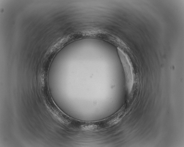 X0000085010452200703261159