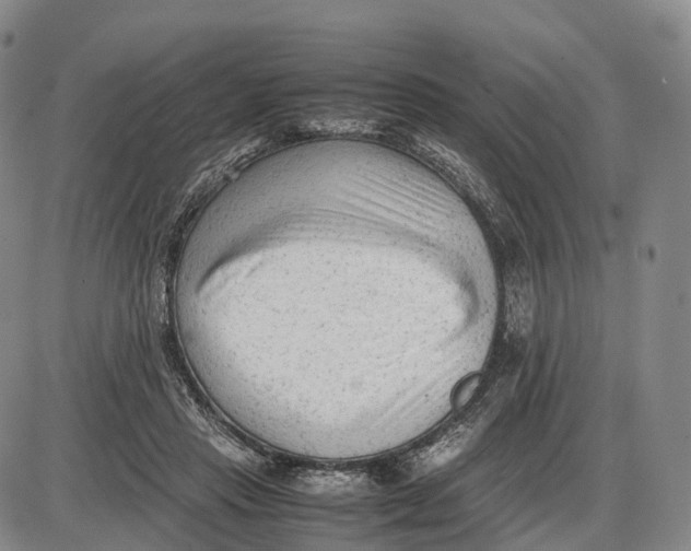 X0000085010453200703261159