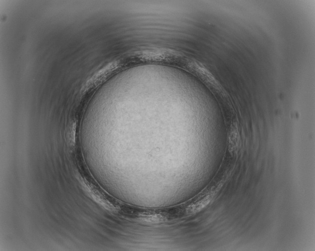 X0000085010454200703261159