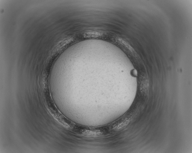 X0000085010455200703261159