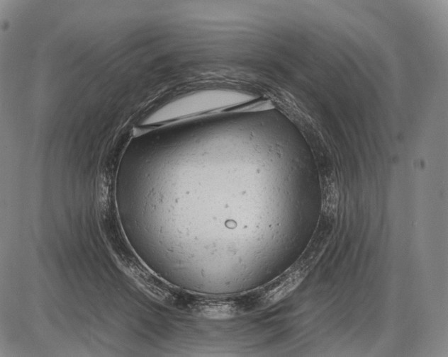 X0000085010456200703261159