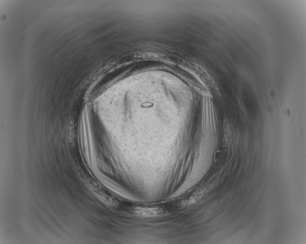 X0000085010457200703261159