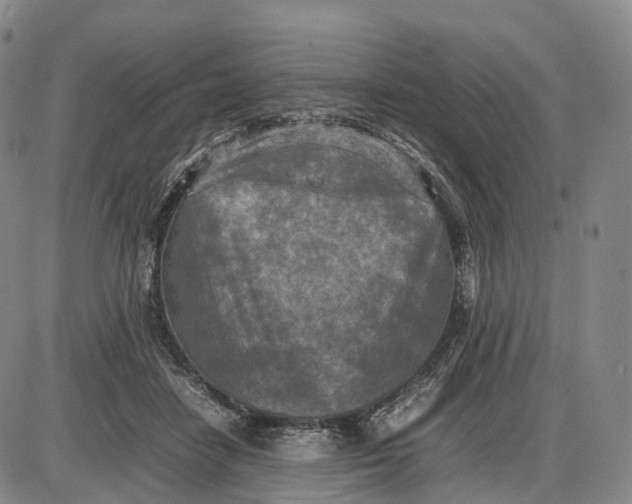 X0000085010458200703261159