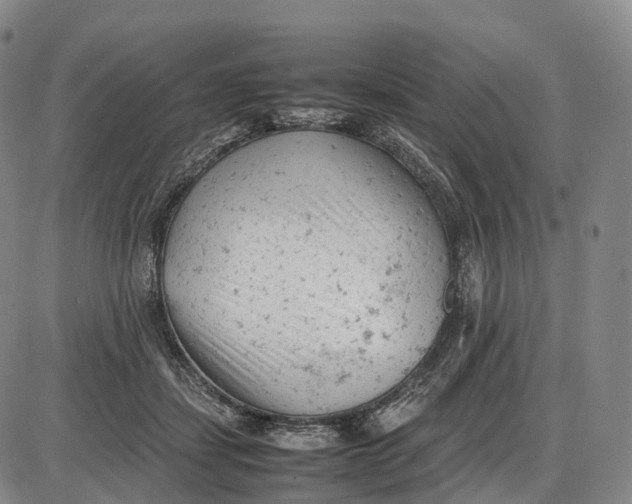 X0000085010459200703261159