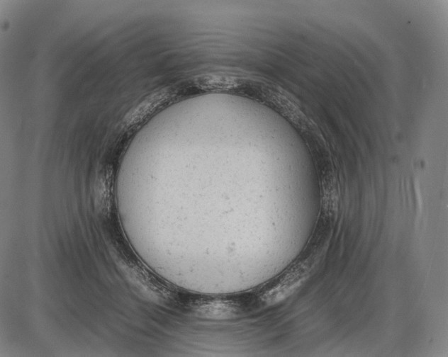 X0000085010460200703261159