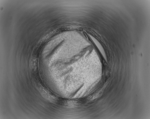 X0000085010462200703261159