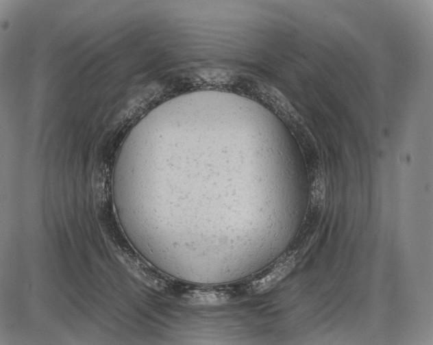 X0000085010464200703261159