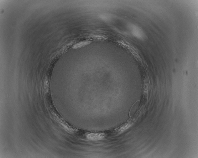 X0000085010465200703261159