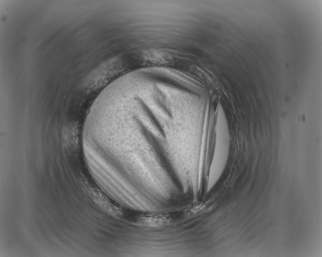 X0000085010466200703261159