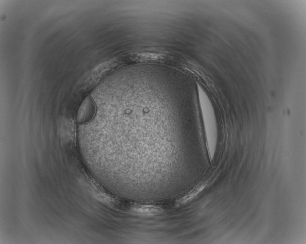 X0000085010467200703261159