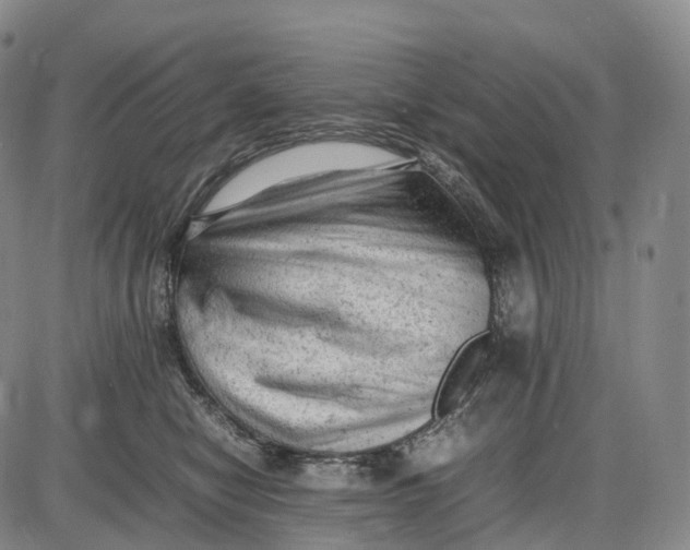 X0000085010470200703261159