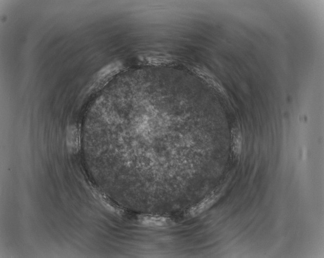 X0000085010471200703261159