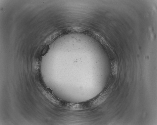 X0000085010472200703261159