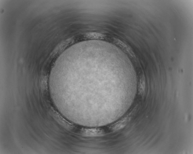 X0000085010473200703261159