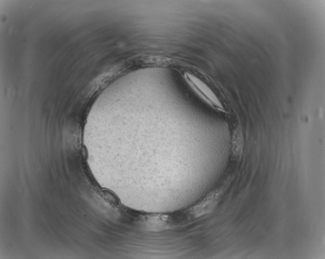 X0000085010474200703261159