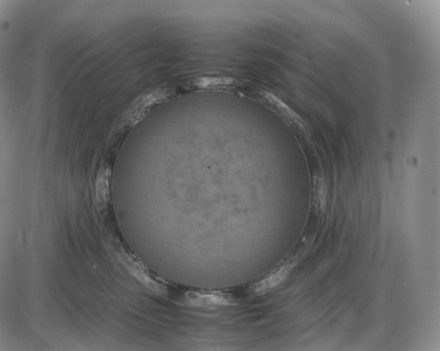 X0000085010475200703261159