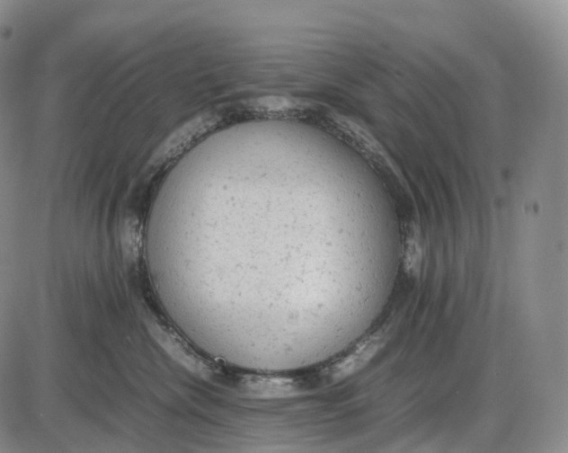 X0000085010476200703261159