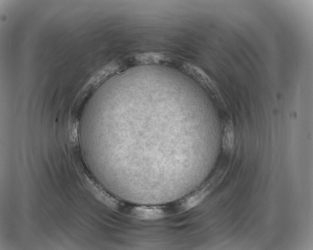 X0000085010477200703261159