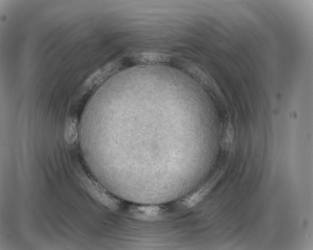 X0000085010478200703261159