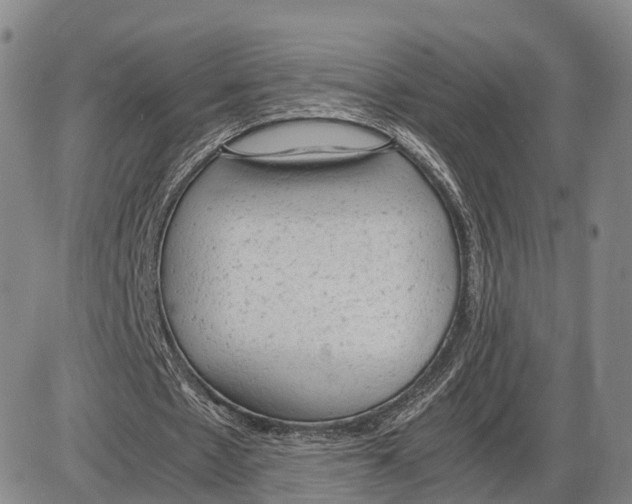 X0000085010481200703261159