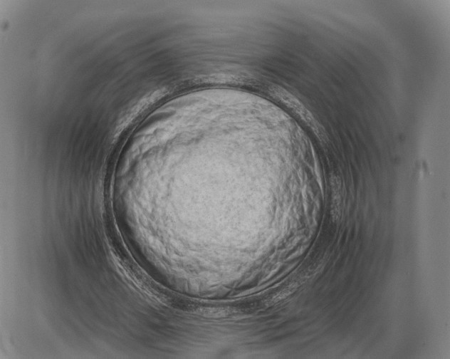 X0000085010482200703261159