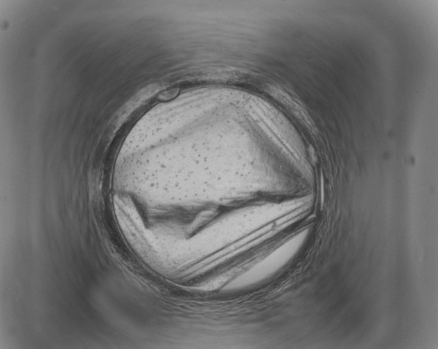 X0000085010483200703261159