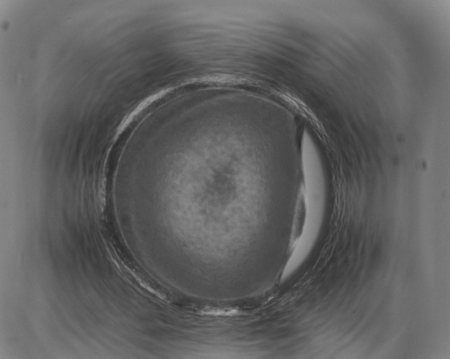 X0000085010484200703261159