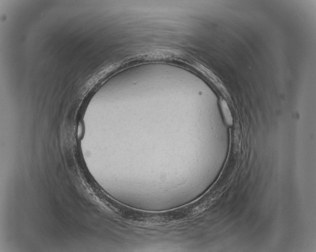 X0000085010485200703261159