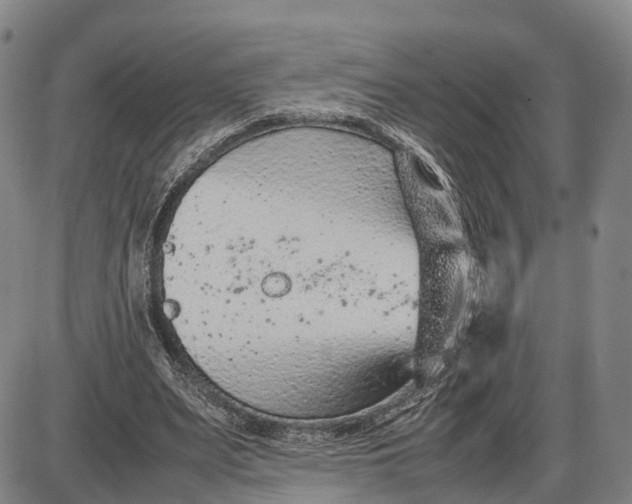 X0000085010487200703261158