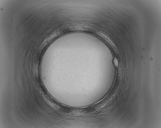 X0000085010489200703261158