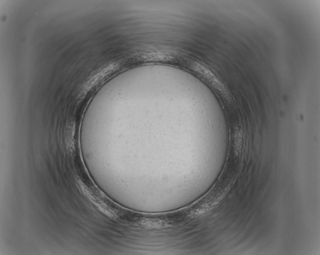 X0000085010490200703261158