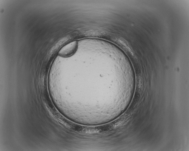 X0000085010491200703261158