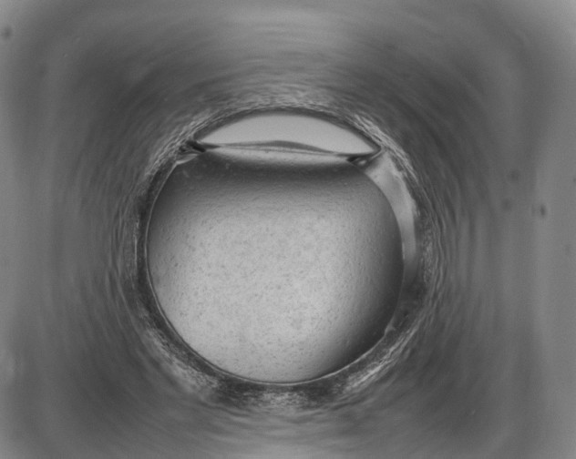 X0000085010493200703261158