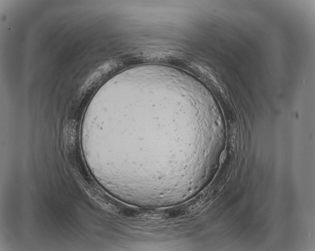 X0000085010495200703261158