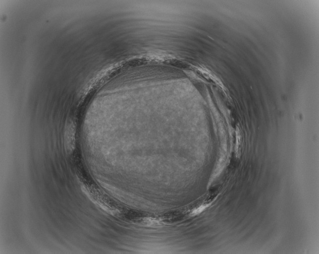 X0000085010496200703261158