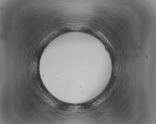 X0000085010497200703261158