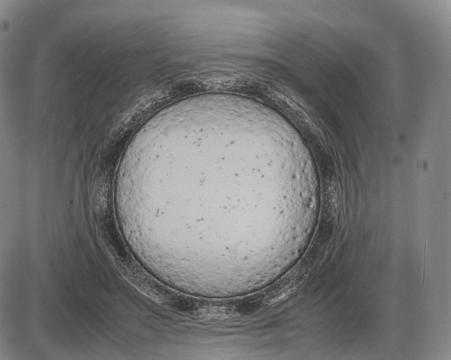 X0000085010499200703261158