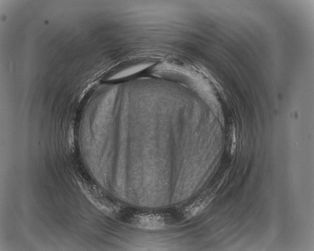 X0000085010500200703261158