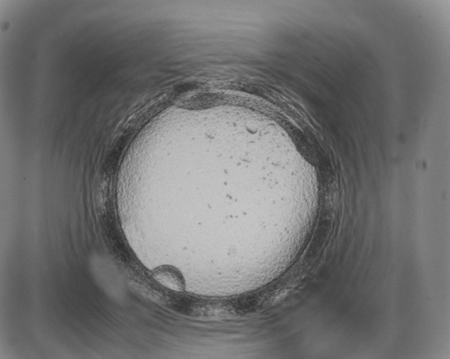 X0000085010503200703261158